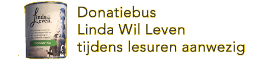 lindawilleven_block-228c3e87854915ab75d1eb32172092c2