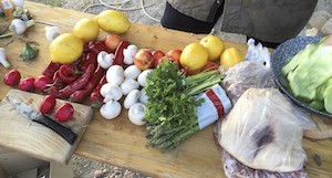 img_3070-groenten-en-fruit-kopie-7b68a90861effd2e9aa227543c90d8d9