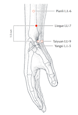 lu-7-2ee710408e5683e77588219d892a18ad