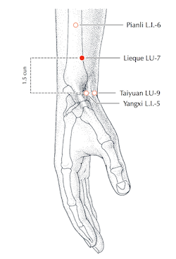 lu-7-6c2cc8fe9fbb7087fa38f5d15d5d2d44