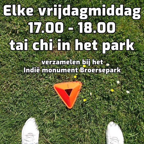 tai_chi_oefenles_park_amstelveen-e5ff1b0ca6c736791dd9fe645e3885fa